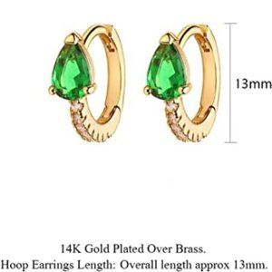 Huggie Hoop Earrings